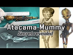 The Atacama Skeleton: Unraveling the Mystery of the Alien-Like Remains