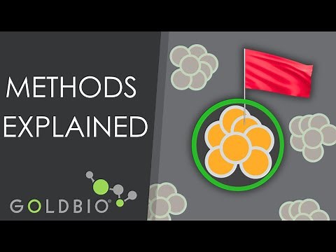 Protein Purification: Affinity Purification, Ion Exchange, Hydrophobic Interaction, & Size Exclusion