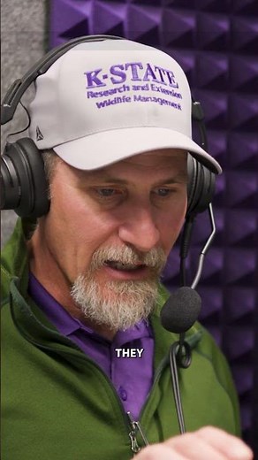 Do you use fences to exclude deer? #deer #wildlife