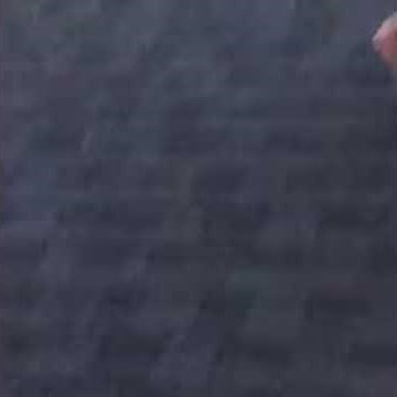 Chicken Falling Off Roof Vine