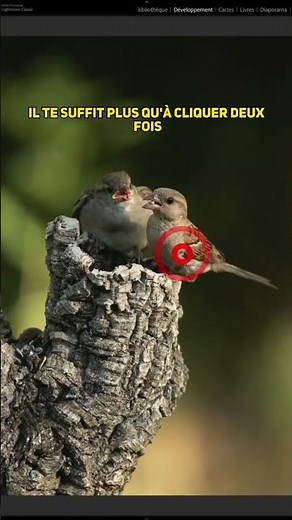 Crop to LANDSCAPE or PORTRAIT MODE in 1 CLICK!