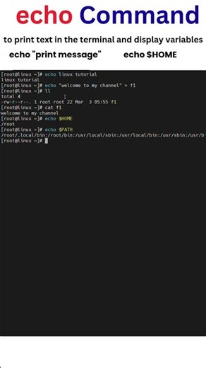 echo Command in Linux #linux #shorts