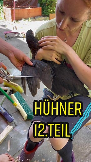 #hühner #hühnerstall