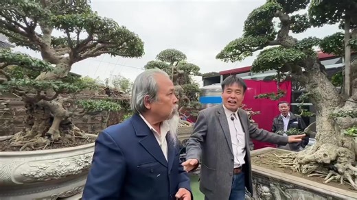 Video của BONSAI ART (@bonsai.art) với bản nhạc nhạc nền - BONSAI ART