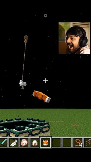 Fox 🤡 has 0 IQ... literally 💀 #minecraft #shorts