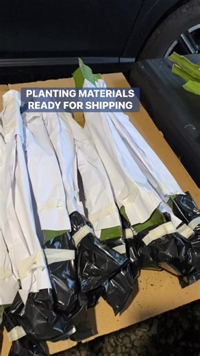 7.2K views · 90 reactions | Preparing rooted stems cuttings for shipping #fblifestyle #inspiration | Victoria Farm | Facebook