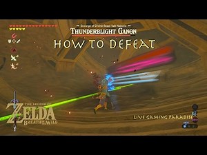 Breath of the Wild - ThunderBlight Ganon in 6 Minutes Guide