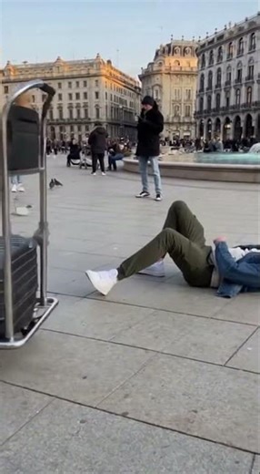 Pigeon Mass Takeoff Chaos | A Hilarious Chain Reaction in 15 Seconds