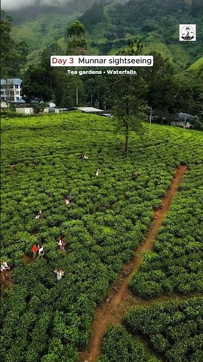 7-Day Kerala Itinerary | Kerala Tour Plan | Best Time to Visit Kerala | #itinerary #kerala