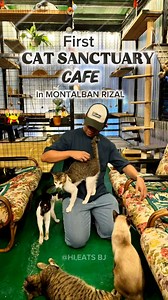 558K views · 8.5K reactions | First Cat Cafe in Montalban! ‍⬛Cat Sanctuary Cafe #catsanctuary #catcafe #coffeeshop #pastries #SaveStrays #BeResponsiblePetOwner #CatInteraction | HI, EATS BJ | Facebook