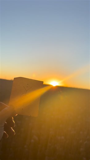 KALI YAZIJI : Functional Neuro-Somatic Kinesiologist on Instagram: "KANGAROO Season of the HEART PORTAL I couldn’t have chosen a more perfect moment to begin this next chapter. This morning, I will open my Ballarat clinic under a full moon in Leo opposite Sun in Aquarius- in Kangaroo Season, heart chakra portal, season of compassion, authenticity, and grounded truth. Watching the sunrise over the poppy fields, I captured this simple magick. The morning light cast its rays across the glyph of the