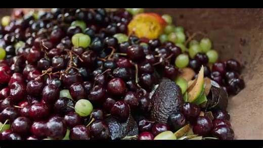 “The farm is… free.” Marvin Ross of Peculiar Pig Farm raises livestock in woodlots to keep them as close to their natural environment as possible. Peculiar Pig prioritizes respect for the animal as well as a natural habitat and diet to produce quality, flavorful pork. 📍Dorchester, SC | Certified South Carolina