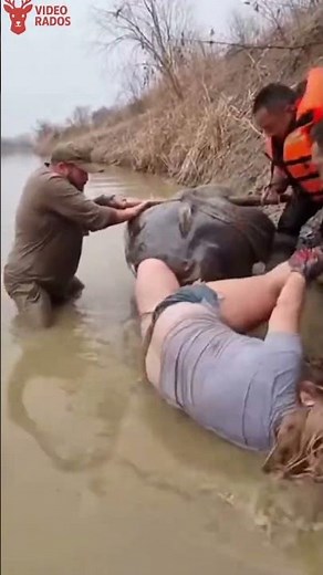 Giant catfish encounter — last-second rescue saves the day