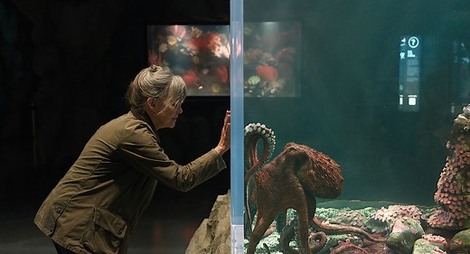 Dive into Remarkably Bright Creatures with Sally Field and Lewis Pullman in May