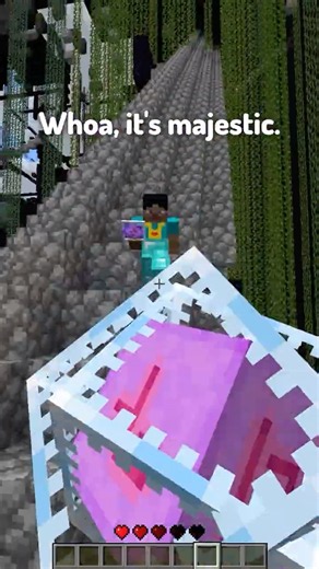 How Players React to Every Server