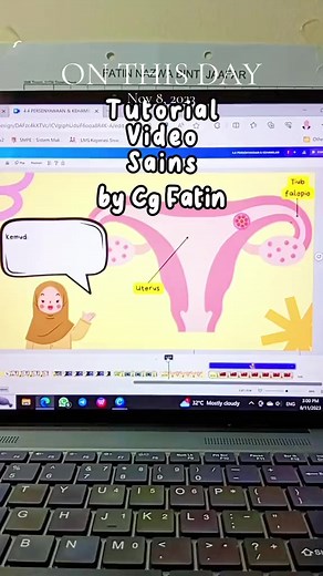 On This Day: Significant Events of November 8