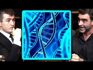 Biologist explains DNA | Nick Lane and Lex Fridman