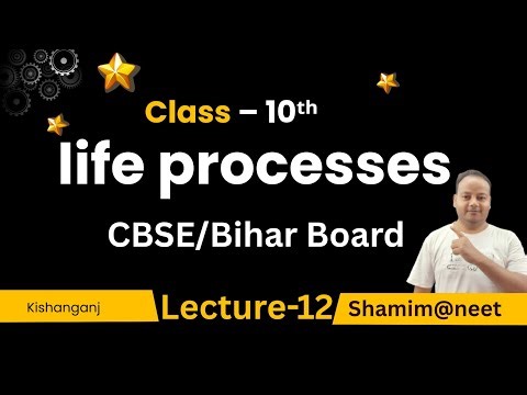 Life Processes Class 10 | Full Chapter Explained in One Shot 🔥 | NCERT Biology | Shamim Sir
