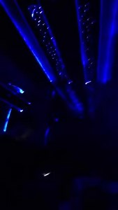 Out da cage!!!!!! #wraithnation is ALIVE YAAAAAALLLLLLLLL!!!! #tnwraithchasers #ghostasylum | Tennessee Wraith Chasers