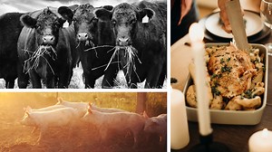 Buy Meat Direct from Your Local Farmer