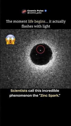 The Moment Life Begins… It Flashes With Light! 😱#shorts #trending #viral #space #moon #cosmos #earth