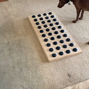 11K views · 482 reactions | “Beach good!” • It turns out that Stella...