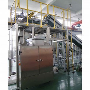 [Hot Item] Advanced Automatic Secondary Packing Machine for Salt and Pet Food