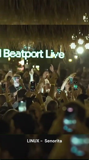 Hugel - Jamaican (Bam Bam) Live show #hugel #dj #musicproducer #housemusic