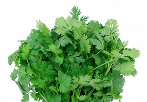 Que faire avec de la coriandre fraîche : Que faire avec de la coriandre fraîche ? - Elle à Table