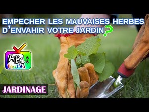 Jardin : comment empêcher les mauvaises herbes d'envahir votre jardin ?
