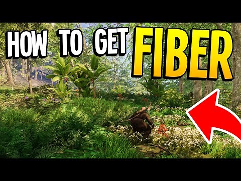 How to get Fiber in New World