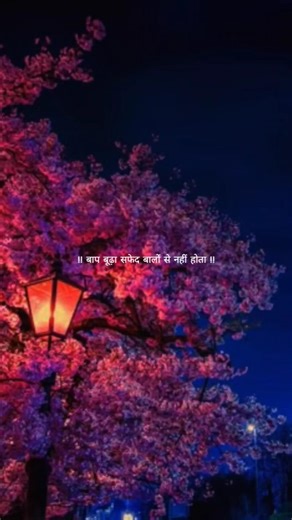 बाप उम्र से नहीं औलाद के बर्ताव से बूढ़ा होता है #motivation #suvichar #hearttouching #baap #shorts