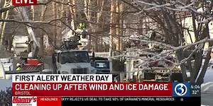 Downed trees, wires close roads across the state