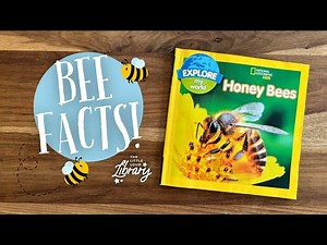 BEE FACTS! Honey bees for kids 🐝🍯