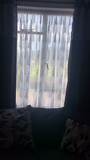 Revamp Your Metal Frame Windows with These Cleaning Tips!