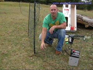 Electric Poultry Netting; correct live connection point