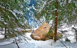 Bushcraft Bear | 在冬季的森林里野营4天全记录~适睡前享用