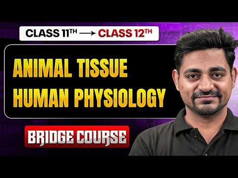 BRIDGE COURSE: ANIMAL TISSUE + HUMAN PHYSIOLOGY | Complete Class 11 Maths in One Shot 🚀