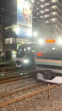 【屈辱】普通列車に抜かされる 特急 サフィール踊り子 【JR-East Ltd.Exp. Saphir ODORIKO】 #shorts