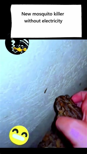 Bio-Mosquito Killer That Hops Around 🐸✨ #shorts