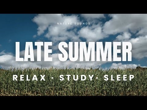 Late Summer Nature Sounds: Relax, Study, Sleep