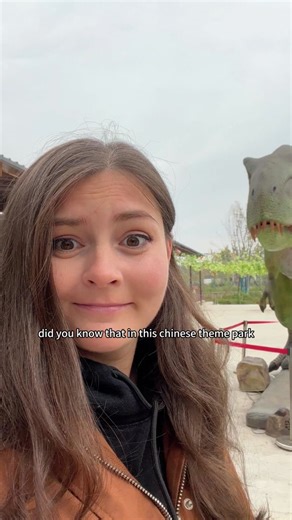 This Chinese theme park is wild 🎢 #lifeabroad #lifeinchina #china #ex... | china