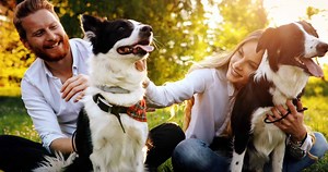How to meet a dog lover like you