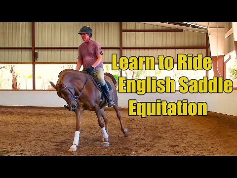Learn How to Ride English Hunt Seat for Hunter Pleasure in Horse Shows