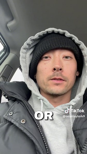 Training Tips for Adding Multiple Dogs