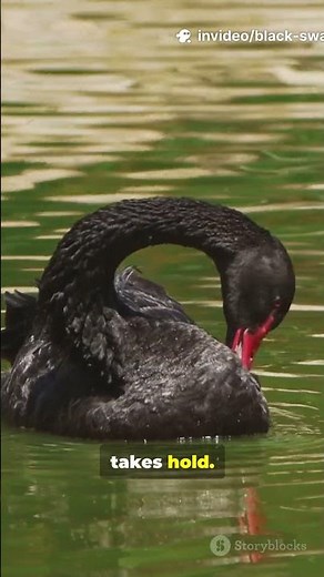 Black Swan Plot Twist in 1 Minute!