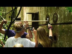 GNAL Hot Cell Director's Cut