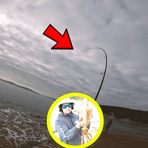 Catching GINORMOUS Squid Off The Rocks!😱 | Dixon's Fishing