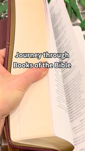 Study Gateway | Video Bible Studies on Instagram: "Take a Journey through Books of the Bible ▶️ In our Books of the Bible collection, you’ll find video Bible studies that help unpack each book’s context, meaning, and place in God’s bigger story. Start watching today with your FREE 7-day trial!"
