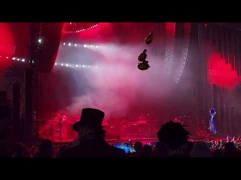 The String Cheese Incident Live Oak 10/31/25